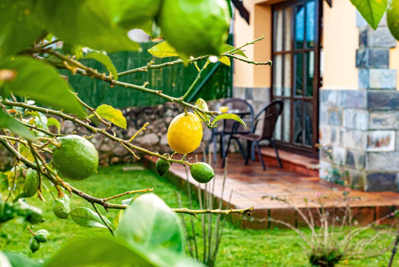 Вілла Casa Sabina Zona De Playa Y Montana Льянес Екстер'єр фото